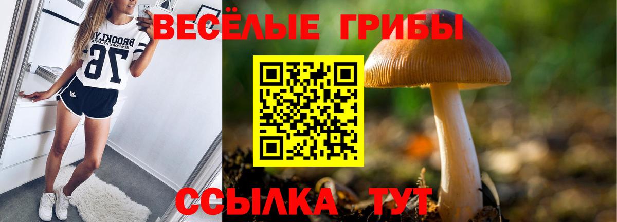закладка  Галлюциногенные грибы Magic Shrooms  Вход с VPN  Белая Калитва 
